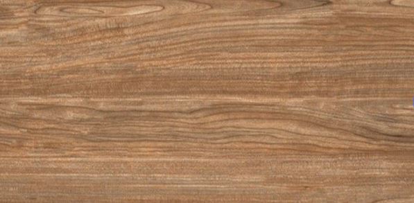 Premium Stone Tile - Model WALLNUT BROWN